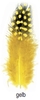 Perlhuhnfedern - gelb, 6-8cm, 24 Stück