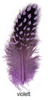 Perlhuhnfedern - violett, 6-8cm, 24 St.