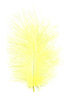 Marabufedern - gelb, 17 Stück