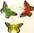 Schmetterlinge, 8cm - 3 Stück (orange, gelb, grün) (07)