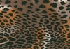 Formfilz - Leopard   30cm x 45cm